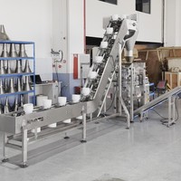 Machine d'emballage verticale automatique avec élévateur de bols pour bandes de méduse dans des sachets transparents à scellage arrière