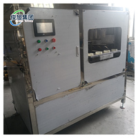Fruitpelschilmachine voor fruitverwerkingsfabriek |   Automatisch Schiltype |   500-2000 kg/uur |   CE ISO |   Hoge efficiëntie