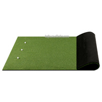 Nouveau type de tapis de golf professionnel pour mini-golf, gazon artificiel 3D, tapis d'entraînement de golf, cages et tapis