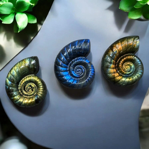 Venta al por mayor de labradorita natural, amonita, espiral de caracol tallada a mano, figura de concha de cristal, artesanía de piedra de cuarzo curativa para meditación - Product Image 3