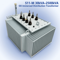 Transformateur de distribution immergé dans l'huile 10KV 11KV 50 KVA 100 KVA 200 KVA MV HV pour la distribution intelligente des services publics