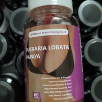 Gummies de Pueraria Lobata et Papaye, Extrait Végétal Naturel, Complément Alimentaire, Emballage Personnalisé pour l'Afrique et le Nigéria – Direct Usine