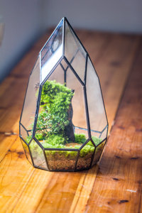 Không thường xuyên gần hình học thủy tinh bán buôn Acrylic <span class=keywords><strong>Terrarium</strong></span> bò sát PVC Acrylic Pet lồng DIY trang trí nội thất tường nghệ thuật để nhà máy Terra - Product Image 3