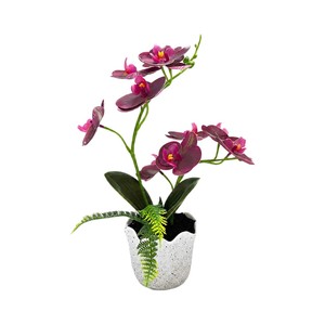 Plante artificielle Phalaenopsis avec pot, 32 cm de haut, tachetée, blanc pastel, violet, rose foncé, magenta, pour la maison ou le bureau - Product Image 5