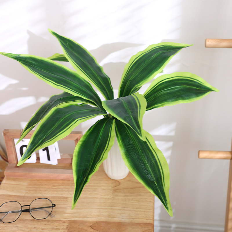 ไม้บราซิล