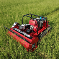 Tondeuse à gazon sans fil haute performance certifiée CE, 800mm, 1000mm, 1200mm, 2 temps, télécommandée, pour usage agricole