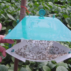 Diamondback professionale eco-friendly in plastica per il monitoraggio delle trappole di feromone falena per la Plutella Xylostella Fly Crucifer - Product Image 3