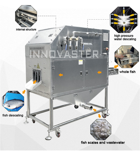 Machine à écailles de poisson automatique haute performance pour usine de transformation de poisson - Product Image 5