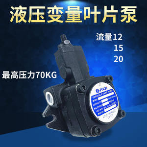 ปั๊มลูกสูบ VPVC-F12/F15/F20/F30/F40-A3/A2/A1-02A ปั๊มน้ำมันแบบใบพัดปรับได้ พร้อมแรงดันไฮดรอลิกสูง ปั๊มแรงดันไฮดรอลิก - Product Image 4