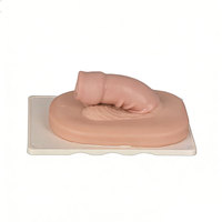 Modèle de formation à la circoncision DARHMMY pour les stagiaires médicaux - Simulation réaliste du prépuce pour la pratique