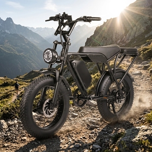 빠른 배송 TONNERREY T8 전기 산악자전거 750W 250W 팻 타이어 산악자전거 스포츠 전기자전거 - Product Image 1