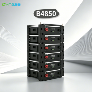 Baterías de Litio <span class=keywords><strong>Dyness</strong></span> <span class=keywords><strong>B4850</strong></span> de 48 V y 50 Ah, 2.5 kVA, Batería LifePO4 de 2.4 kWh para Montaje en Pared, para Electricidad Doméstica - Product Image 1