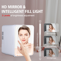 Nouveau réfrigérateur portable professionnel pour soins de la peau 4L, mini-réfrigérateur embarqué GBJ-4L