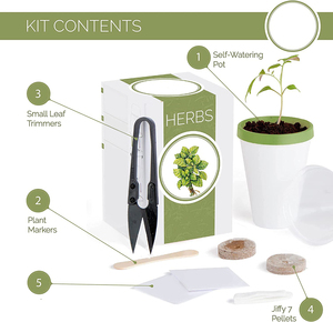 Nuevo producto Ideas 2023 Hierba Jardinería Regalos Macetas Mini Perejil Plástico para plantas Decoración al aire libre <span class=keywords><strong>Maceta</strong></span> para hombres y mujeres - Product Image 3