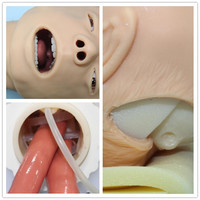 Modelo de Entrenamiento Avanzado para Intubación Endotraqueal en Adultos BIX-J50 |   Simulador Realista Avanzado de Manejo de Vías Respiratorias de PVC de Tamaño Natural