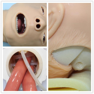 Mô hình đào tạo đặt nội khí quản của con người thực tế BIX-J50 mô phỏng ống thông sinh động - Product Image 3