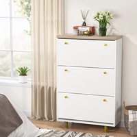 Mueble Zapatero Vertical Estrecho Oculto de Alta Gama para Exhibición de Calzado, Selección Premium de Productos Transfronterizos