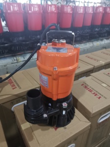 <span class=keywords><strong>Pompe</strong></span> à eau usée électrique submersible verticale Kepeida 2 pouces 220 V <span class=keywords><strong>avec</strong></span> interrupteur à <span class=keywords><strong>flotteur</strong></span> - Product Image 4