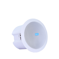 Sistema de Karaoke de Alta Calidad para Cine en Casa, Altavoz de Techo con Micrófono Inalámbrico, Comunicación WiFi y RJ45