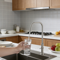 Robinet de cuisine à design populaire pour purificateur d'eau RO, robinet en acier inoxydable SUS 304, accessoires pour purificateur d'eau de Chine