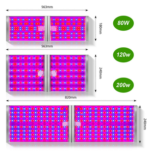 318 thiết kế độc đáo DC24V <span class=keywords><strong>80W</strong></span> 120W 200W có thể gập lại LED lượng tử phát triển bảng ánh sáng với phổ 3000K 630nm 460nm cho cây trồng trong nhà - Product Image 5