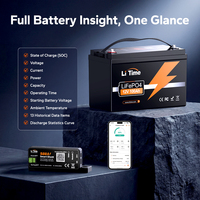 LiTime Smart Shunt Professionnel Bluetooth 5.0 500A 8V 120V avec Contrôle par Application pour Batteries LiFePO4, Plomb-Acide, Solaires, RV et Marine