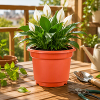 Pot de fleurs moderne en plastique de 1 gallon avec trou de drainage, pour pépinière, usage intérieur/extérieur, à poser au sol