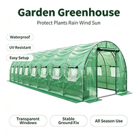 Serre de jardin polytunnel économique pour fraises avec structure galvanisée à vendre