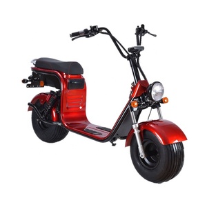 CEE/<span class=keywords><strong>COC</strong></span> 3 PLUSCOCO citycoco 2000 w 1000 W 3000 w con batería extraíble bajo el asiento de dos ruedas 2 ruedas neumático gordo - Product Image 2