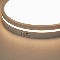 Plafonnier LED à triple l'épreuve de la lumière mystérieuse de couleur noire de grande taille pour l'usage de balcon
