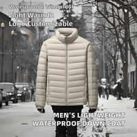 Veste d'hiver matelassée pour homme, grande taille, à capuche, légère, imperméable, coupe-vent, isolée en duvet d'oie, fabricant OEM, logo personnalisé