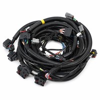Arnés de Cableado General para Motor, Núcleo de Cobre, IP67, Conector Automotriz Personalizado, PVC