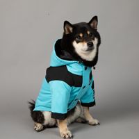 Veste imperméable pour chien PAW Dream Luxury Solid Winter, coupe-vent, imperméable, pour grands chiens, classique, polyester écologique, tailles S-5XL