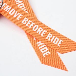 Porte-clés avion court avec lettres imprimées, nouveau Design, pièces, lettres avec Logo, pour enlever avant le vol - Product Image 6