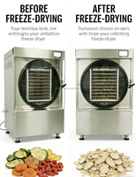 Mini Desktop Automatische PLC Voedsel Lyofilisator 20kg/u Hoge Efficiëntie Vriesdroogmachine Huishoudelijke Fruit Huisdier Snack Dehydrator