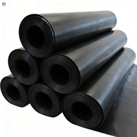 Géomembrane HDPE 1 mm résistante aux UV pour bassin piscicole et barrage – Design moderne