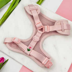Produsen Perlengkapan Hewan Peliharaan, Label Pribadi, Cetak Sesuai Pesanan, <span class=keywords><strong>Harnesses</strong></span>, Tali, dan Kalung Anjing Kucing yang Dapat Disesuaikan dan Anti Tarik - Product Image 4