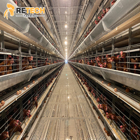 Fabricante de Equipos para Granjas Avícolas, Sistema Automático de Jaulas en Batería Tipo H para Gallinas Ponedoras en Zambia