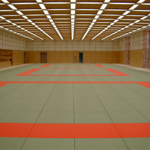 Tatami de Judo Brasileño de Alta Calidad y Densidad, Estándar IJF, para Artes Marciales - Product Image 5