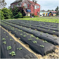 Tissu non tissé PP Spunbond Feuille de contrôle des mauvaises herbes noire Weedmat Rouleaux non tissés filés