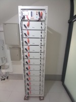 Système Solaire Hybride Deye 30KW, 50KW, 80KW, 100KW, 150KW, 200KW avec Onduleur, Batterie et Panneaux Solaires pour Usage Commercial et Industriel