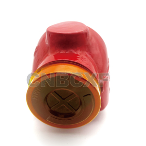 Válvula de liberación de <span class=keywords><strong>aire</strong></span> de rosca Baichuan NPT BSPT para sistemas de rociadores de tubería húmeda o con bombas de caja de hendidura horizontal de hierro fundido - Product Image 3