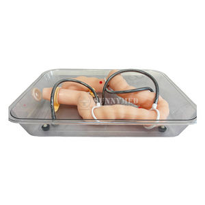 Simulador de colon de fábrica, modelo de enseñanza médica, sistema <span class=keywords><strong>digestivo</strong></span>, simulador de entrenamiento quirúrgico, modelo de colon plegable - Product Image 4