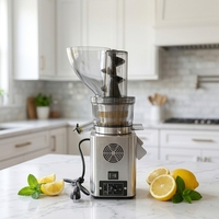 Newsaier 750W RVS Slow Juicer Machine Stille Werking 220V/110V voor Thuis en Commercieel Gebruik Fruit- en Groentesap