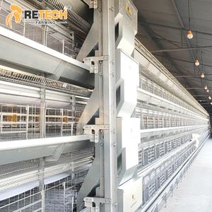 30,000 galline ovaiole casa edificio con completamente automatizzato gabbie di pollame in Cile - Product Image 3