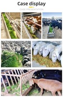 Système d'agriculture verticale hydroponique Mayboom pour laitue, champignons et safran dans des conteneurs maritimes - Facile à utiliser