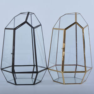 Maceta moderna para decoración interior del hogar, poligonal geométrico Terrario de vidrio, contenedor de latón para helecho suculento, planta de aire de Metal - Product Image 6