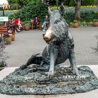 Statue de sanglier sauvage en bronze coulé pour jardin extérieur, sculpture animale en bronze représentant une faune sauvage
