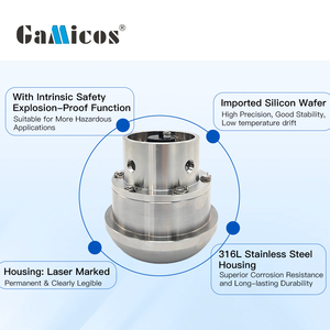 Trasduttore di Pressione GPT400 ad Alta Precisione per Attrezzature Industriali e Petrolifere con Interfaccia RS485 - Product Image 4