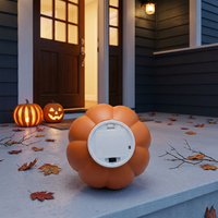 Guirlandes lumineuses LED professionnelles étanches pour Halloween, décor de scène, lumières féériques à piles pour KTV, fête, club, fond de scène